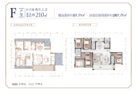 F户型约210 4+1房3卫