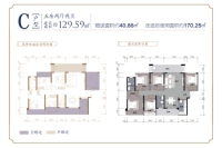 C户型约129.59 5房2卫