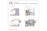 C1户型约198.85 4+3房3卫