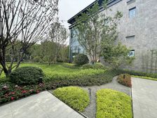 滨江玺樾3室2厅东南