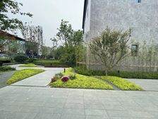 滨江玺樾4室2厅西南