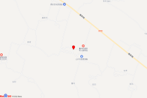高村镇鲁村村YDJY-2022-22地块电子地图
