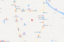 周田镇B1-04地块电子地图
