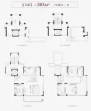 龙信中天·御澜珑溪龙信中天·御澜珑溪上叠205户型图