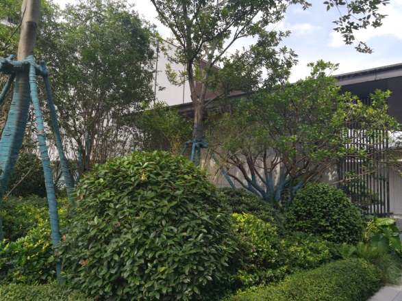 美的·云樾实景图
