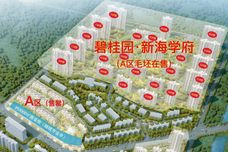 碧桂园·新海学府[海州]