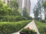 实景图小区环境