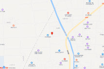 码头镇北港村2020-50地块电子地图