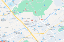 临平老城区LP0605-12地块电子地图