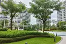 千江悦实景图