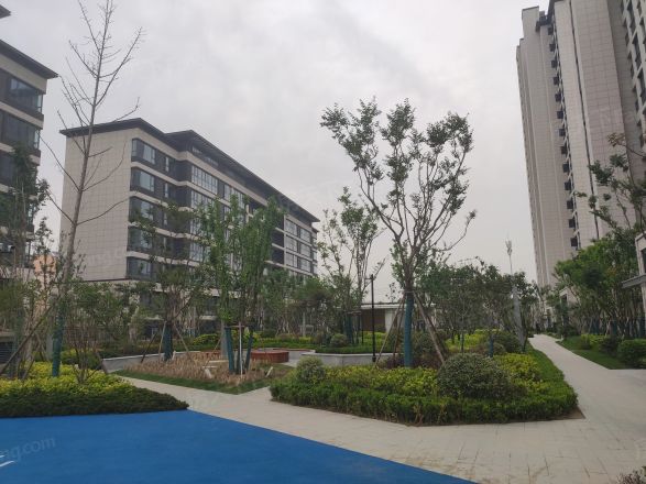 高力·时涧实景图