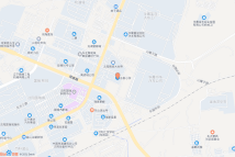 富禹·东域电子地图