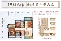 18栋A梯01户型建面106.12㎡