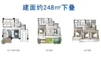 古颂·雁归里248㎡下叠