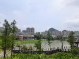 小区鲁湖景观