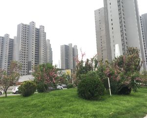 东风街三室客厅朝阳两个卧室朝阳采光好视野好