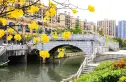 上河坊润府实景图