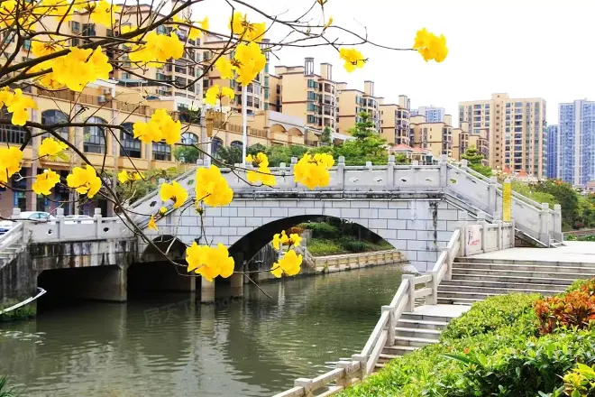 上河坊润府实景图