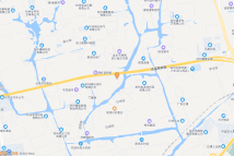 崇贤街道大安村综合供能服务站地块电子地图