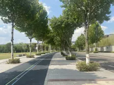 香港置地壹江郡 166平四居室 东西通透 品质生活