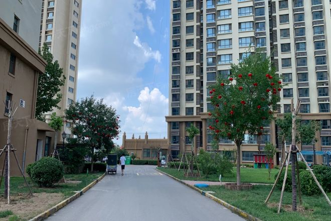 滨湖国际实景图