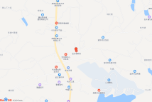 湘阴县金龙镇金龙大道北侧地块电子地图