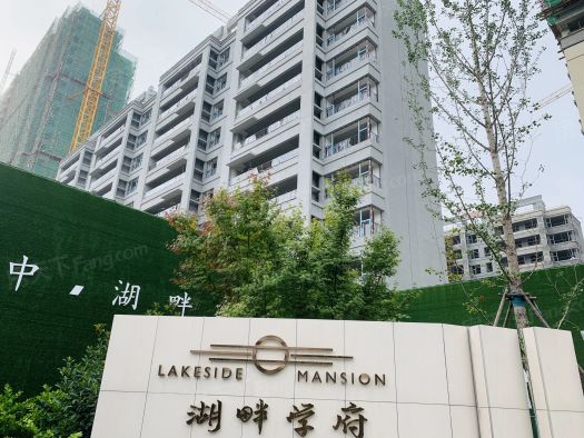 湖畔学府实景图