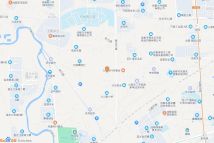 武侯区金花桥街道九龙社区4组电子地图