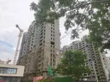 项目在建工地实景