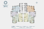 15号楼户型图