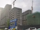 项目在建工地实景