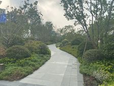 铂樾云庭 现在可以享受20万的购房补贴 不懂操作随时咨询我