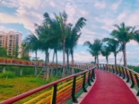 滨海公园彩虹桥