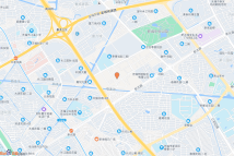 新发新光路北侧地块电子地图