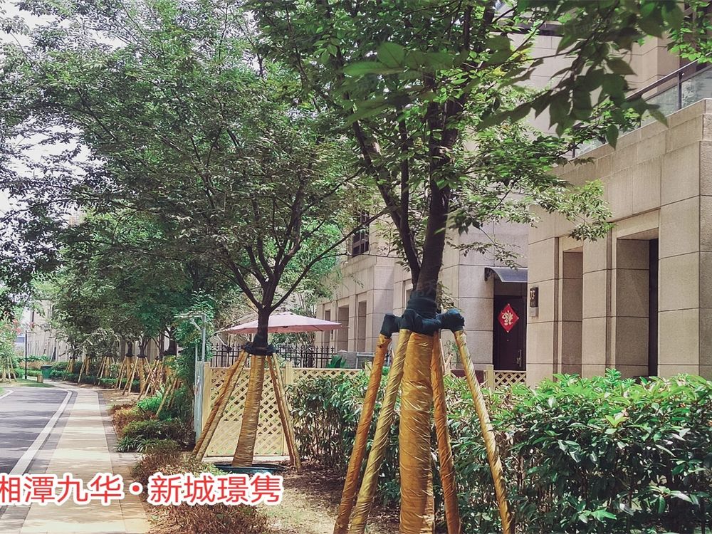 小区相关图