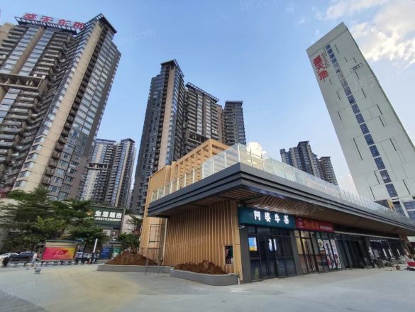 兴宁东郡盛天地奇寓实景图