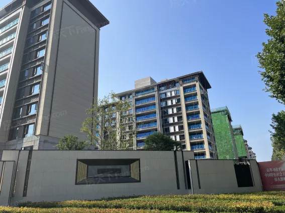 碧桂园·玖玺台怎么样:这个楼盘性价比怎么样?规.-洛阳房天下楼盘点评