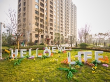 北龙湖北,鲁能公馆,大平层,带两个车位,