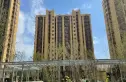 福悦四季实景图