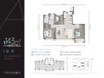 万科未来星光143平户型