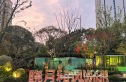 绿城晓月和风实景图