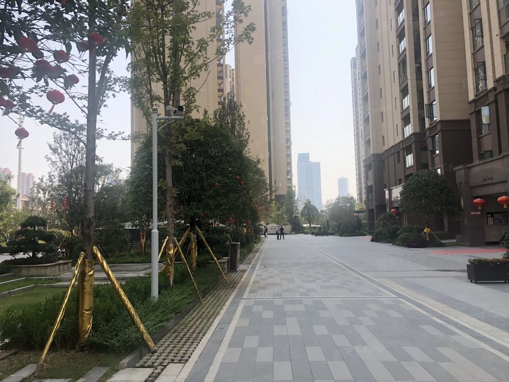 小区相关图