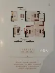 A户型