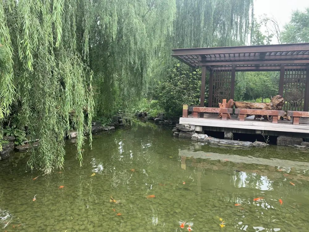 实景图