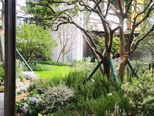 国贸鹭原 3室2厅 西南