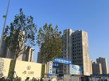 城投碧桂园太白园筑 3室2厅 南