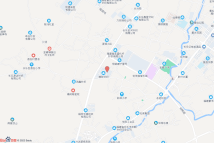 金峰镇前林村金港路南侧、西环路东侧电子地图
