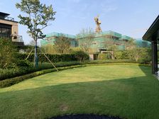 前后大院子 充满一切别墅需求