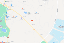 宁乡市历经铺街道岳宁大道北侧地块电子地图