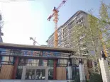 项目在建工地实景